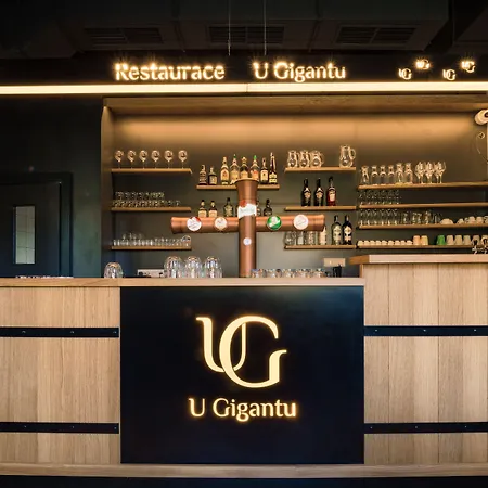 Wellness A Restaurace U Gigantu 招待所
